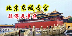 免费看片白丝白虎中国北京-东城古宫旅游风景区